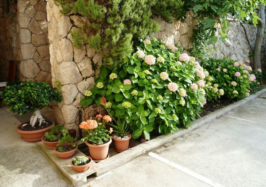 Nice Apartment & Room In קאבטאט מראה חיצוני תמונה